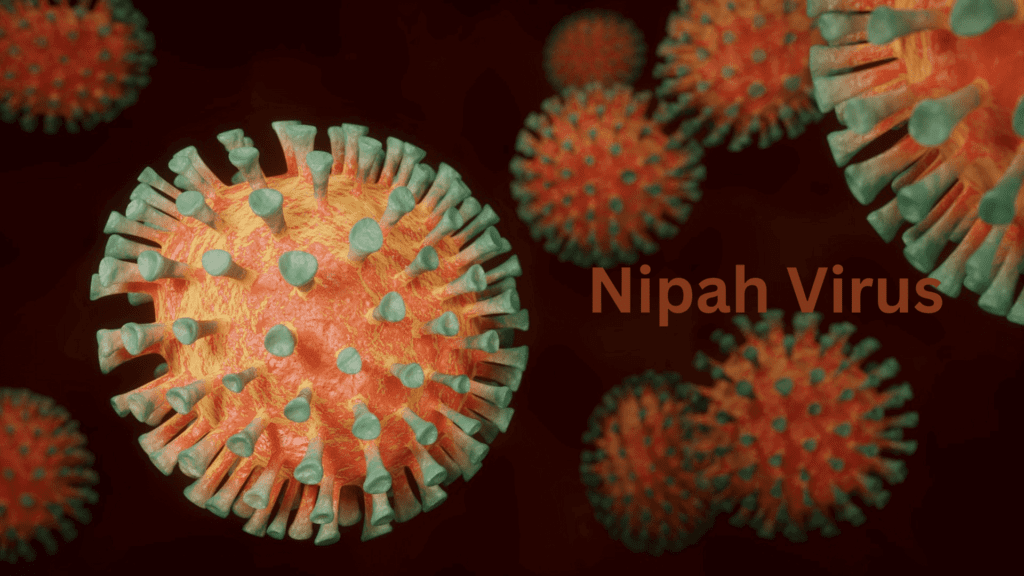 Nipah virus 